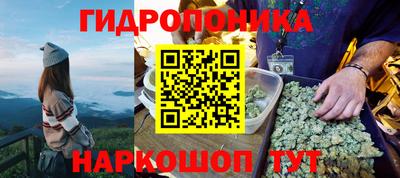 гидропоника Тулун