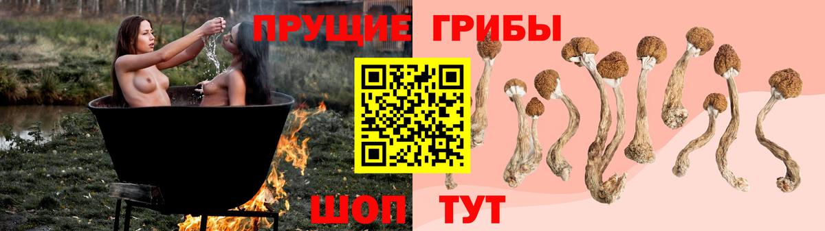 купить наркотики цена  Вход с VPN  Печора  Галлюциногенные грибы GOLDEN TEACHER 